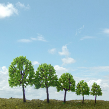 model trees